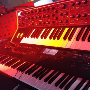 在我生命里 (Live)