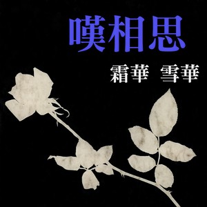 我爱紫罗兰