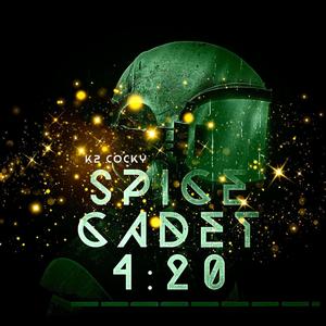 Playa Hated(feat. Ashaki) (Explicit)