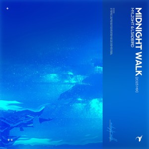 Midnight Walk(2023 Mix)