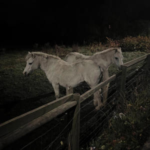 what were we? (feat. jlee) (Explicit)