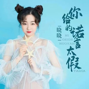 你给的诺言太假 (走心版)