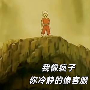 我像疯子你冷静的像客服