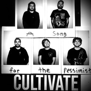 A Song For The Pessimist (Explicit)