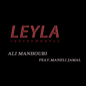 Leyla (instrumental) [feat. Maneli Jama] )