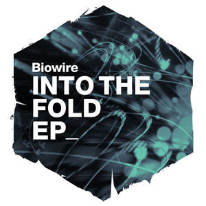 Into the Fold EP