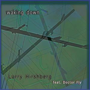 Waking Down (feat. Doctor Fly)