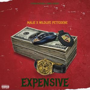 EXPENSIVE (feat. PETTODENE WILDLIFE)