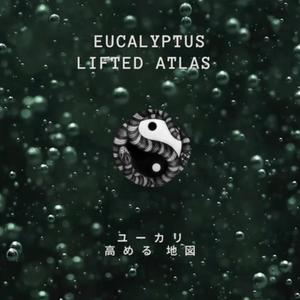 Eucalyptus (Explicit)