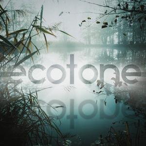 Ecotone (Cinematic Music)