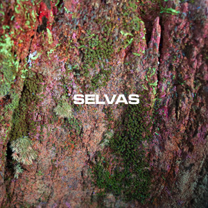 Selvas