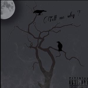Tell Me Why (feat. ItsJJiPromise) (Explicit)