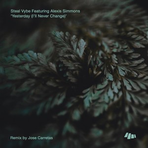 Yesterday(I'll Never Change) (Son Liva Dub)