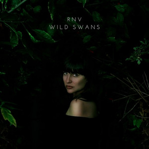 Wild Swans