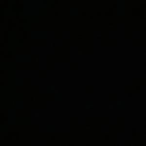 Still Winning (Explicit)