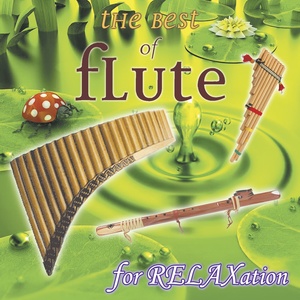 The Best of Flute, Vol. 2 : For Relaxation