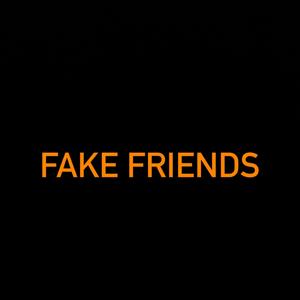 FAKE FRIENDS (feat. 422 DUGGG) [Explicit]