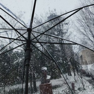 执迷不悟DJ