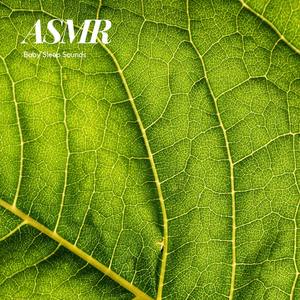 Birds ASMR Forest Sound for Sleep (Loopable, Looped)