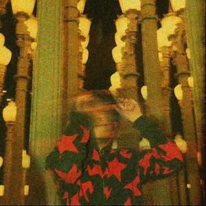 ignore the red flags (Explicit)