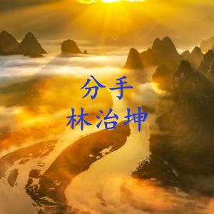 分手