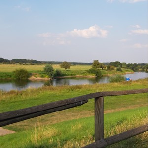 eli - Journey 4 - Over land, under water