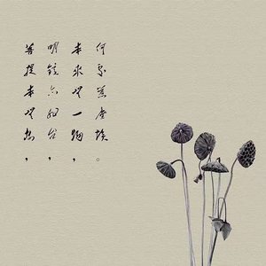 江华 - 六祖坛经 顿渐第八