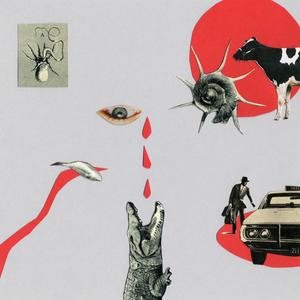 Celebration (feat. Cenk Esen)