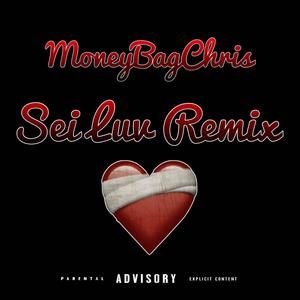 Sei Luv (Remix) [Explicit]