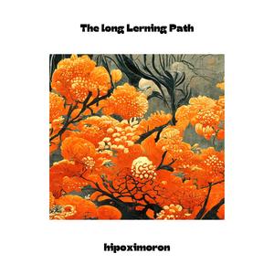 The long Lerning Path