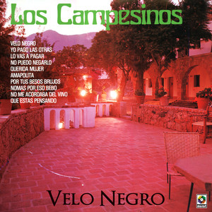 Velo Negro