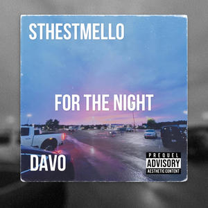 For the night (feat. Dav0) (Explicit)