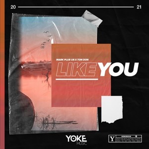 Like You (Extended Version)
