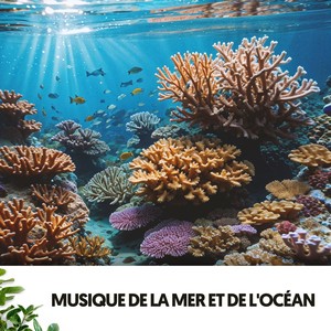 Sons de l'Océan et de la Mer : Mélodies qui Caressent ton Âme