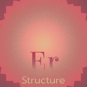 Er Structure