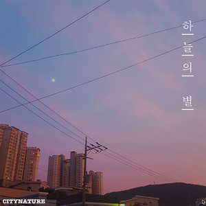 하늘의 별