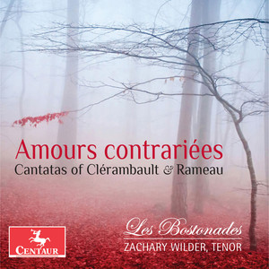L'Impatience, RCT 26 - Recitative: Les oiseaux d'alentour chantent dans ce bocage - Air tendre: Pourquoi leur envier leur juste récompense?