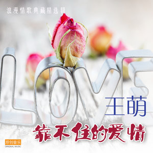 爱情的微光封面