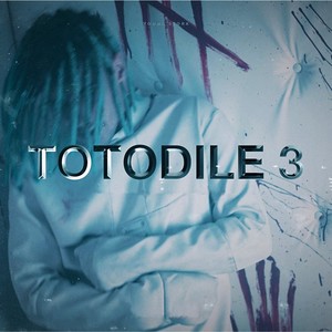 Totodile 3 (Explicit)