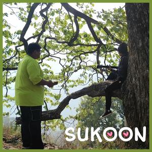 Sukoon (feat. Fallen Star)