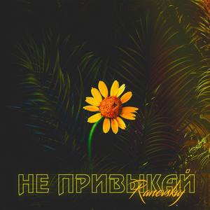Не привыкай