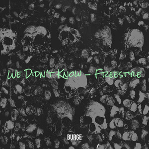 We Didn't Know - Freestyle (Explicit)