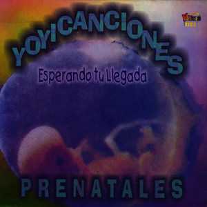 Yoyicanciones Prenatales - Esperando Tu Llegada