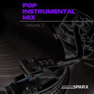 Pop Instrumental Mix Volume 2