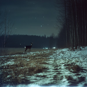 Imagination (feat. Lucy Ann Polk)