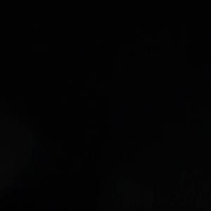 Not giving up on Love (Explicit)