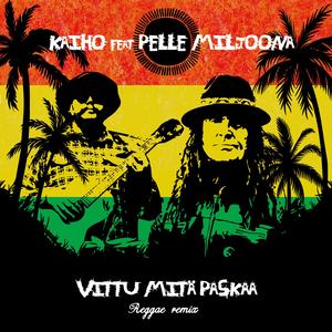 Vittu mitä Paskaa (Reggae) (feat. Pelle Miljoona) [Remix] [Explicit]