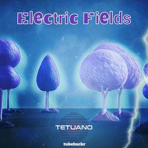 Electric Fields