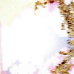 Look at Me, I'm a Rainer