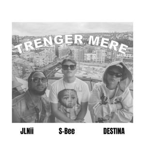 TRENGER MERE (feat. Destina & S-bee)